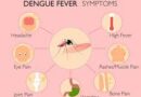 dengue fever treatment