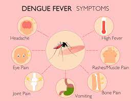 dengue fever treatment